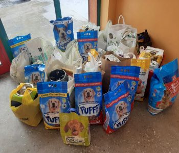 Zbiórka dla schroniska dla zwierząt. zdjecie 1