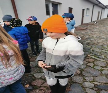 Czy struś chowa głowę w piasek? zdjecie 121