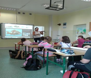 Sprawozdanie z dnia otwartego szkoły podstawowej zdjecie 33