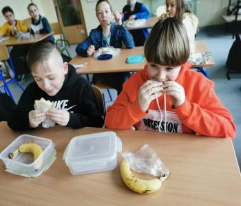 Działania edukacyjne w ramach 