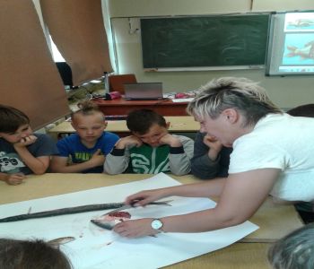 Sprawozdanie z dnia otwartego szkoły podstawowej zdjecie 41