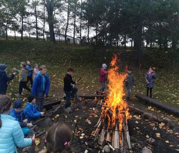 Czy struś chowa głowę w piasek? zdjecie 85