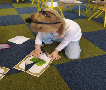 Dzień warzyw i owoców. zdjecie 43