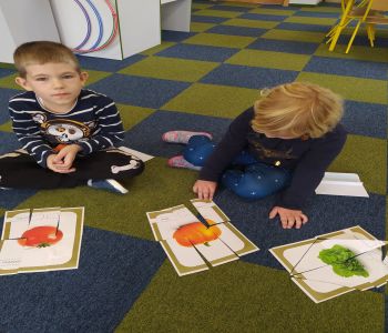 Dzień warzyw i owoców. zdjecie 34