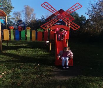 Czy struś chowa głowę w piasek? zdjecie 75
